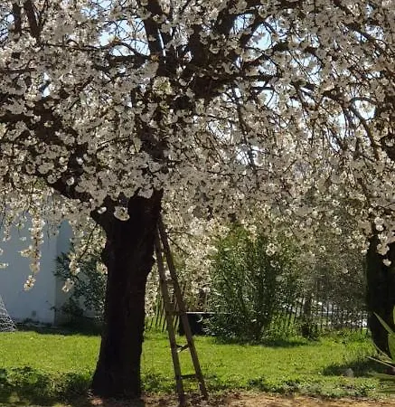 Le Moulin De La Blancherie Апартаменты *