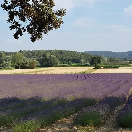 Le Moulin De La Blancherie Боллен